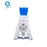 Stainless Steel  Gas Panel Pressure Regulator Valve